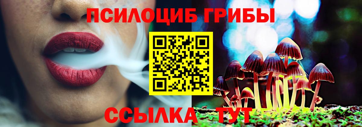 Галлюциногенные грибы ЛСД  Псилоцибиновые грибы Psilocybe  Вход с VPN  Гулькевичи 