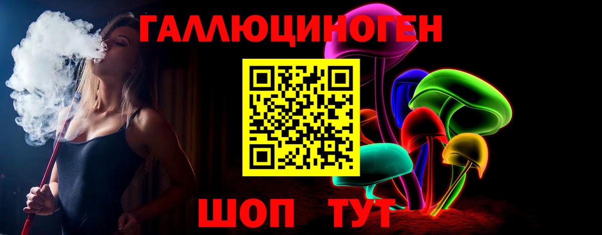 Псилоцибиновые грибы мицелий  Псилоцибиновые грибы GOLDEN TEACHER  Гулькевичи 